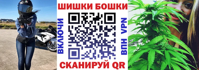 Каннабис ГИДРОПОН  Купить где  Черноголовка 